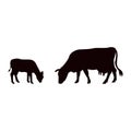 Silhouettes of caw and baby cow