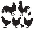 Silhouettes of chickens - hens, roosters and baby chicks.
