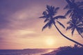 Silhouettes of coconut palm trees on a tropical beach at sunset, color toning applied Royalty Free Stock Photo