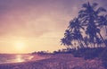 Silhouettes of coconut palm trees on a tropical beach at sunset, color toning applied Royalty Free Stock Photo