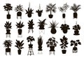 Silhouettes collection of decor house indoor garden plants in pots and stands Royalty Free Stock Photo