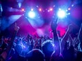 Silhouettes of concert crowd Royalty Free Stock Photo
