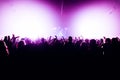 Silhouettes of concert crowd in front of bright stage lights with confetti Royalty Free Stock Photo