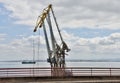 Silhouettes of construction cranes on the sky Royalty Free Stock Photo