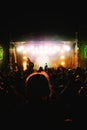 Silhouettes of a crowd of people fans at a live concert Royalty Free Stock Photo