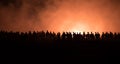 Silhouettes of a crowd standing at field behind the blurred foggy background. Revolution, people protest against government, man f