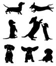 Silhouettes of dachshunds. Vector illustration. Royalty Free Stock Photo