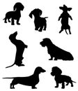 Silhouettes of dachshunds. Vector illustration.