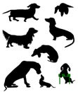 Silhouettes of dachshunds. Vector illustration.