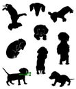 Silhouettes of dachshunds. Vector illustration. Royalty Free Stock Photo