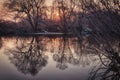 Silhouettes of dark trees are reflected in the water / early spring or early autumn, the first frosts. Royalty Free Stock Photo