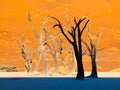 Silhouettes of dead trees in Deadvlei, near Sossusvlei, red dunes of Namib Desert, Namibia, Africa Royalty Free Stock Photo