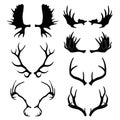 Silhouettes of deer and moose horns Royalty Free Stock Photo