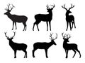 Silhouettes of deer and stags. Royalty Free Stock Photo