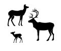 Silhouettes of the deer on white background. , doe, fawn. Royalty Free Stock Photo