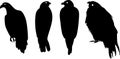 Silhouettes of different birds of prey