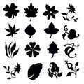 Silhouettes of different plants on a white background