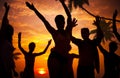 Silhouettes of Diverse Multiethnic People Partying Royalty Free Stock Photo