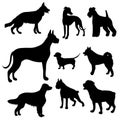 Silhouettes of dogs of different breeds Royalty Free Stock Photo