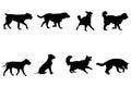 Silhouettes of dogs on white background Royalty Free Stock Photo