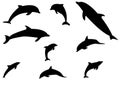 Silhouettes of dolphins