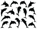 Silhouettes of dolphins