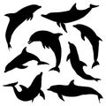 Silhouettes of dolphins. Set. Vector illustration