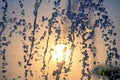 Silhouettes of drops falling water fountain against the backdrop of the setting sun Royalty Free Stock Photo