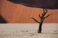 Silhouettes of dry hundred years old trees in the desert among red sand dunes. Unusual surreal alien landscape with dead