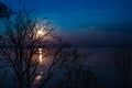 Silhouettes of dry tree against sky and cloud over tranquil sea.