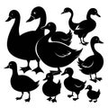 Black Silhouettes of Ducks and Geese Stock Photo Royalty Free Stock Photo