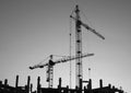 Silhouettes of elevating cranes 1 Royalty Free Stock Photo