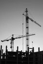 Silhouettes of elevating cranes