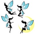 Silhouettes of a fairy