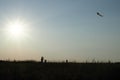 Silhouettes of a family father and children flying a kite