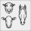 Silhouettes farm animals - sheep, horse and cow. Template for meat market, store, market and packaging. Royalty Free Stock Photo