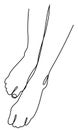 Silhouettes of female legs. Beautiful lady feet. Graphic image. Vector illustration.