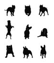 Silhouettes of fighting dogs in different positions. Royalty Free Stock Photo