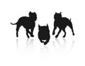 Silhouettes of fighting dogs. Royalty Free Stock Photo