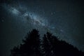 Silhouettes of fir trees against the background of the starry sky and the Milky Way. Royalty Free Stock Photo