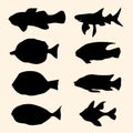 Silhouettes fish