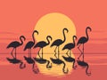 Silhouettes of flamingos bask in the serenity of a golden sunset