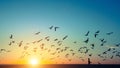 Silhouettes flock of seagulls over the Ocean