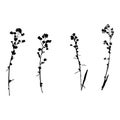 Silhouettes of flowers, herbs in black. A set of isolated plant objects on a white background. Templates for the design