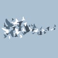 Silhouettes of flying birds, vector illustration Royalty Free Stock Photo