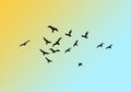 Flying birds silhouettes. Flock of birds in the sky.Background design. Vector illustration. Vector flock of birds.