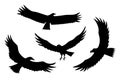 Silhouettes of flying eagles vector bird predator set