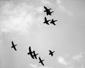 Silhouettes of flying pochards in the sky Royalty Free Stock Photo