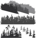 Silhouettes of the forest