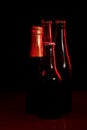 Silhouettes of four beer bottles on a black background and lit with red light